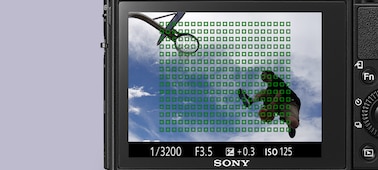 RX100 V 프리미엄 13.2 x 8.8mm 센서 컴팩트 카메라로 탁월한 AF 성능을 자랑합니다. 사진